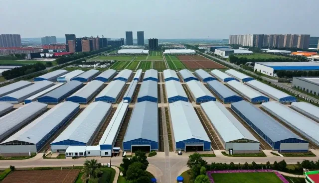 数据处理行业技术支持的未来演进与挑战